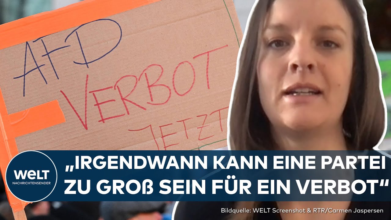 DEBATTE UM AFD-VERBOT: Warum ein Parteiverbotsverfahren schwierig werden könnte | WELT Talk