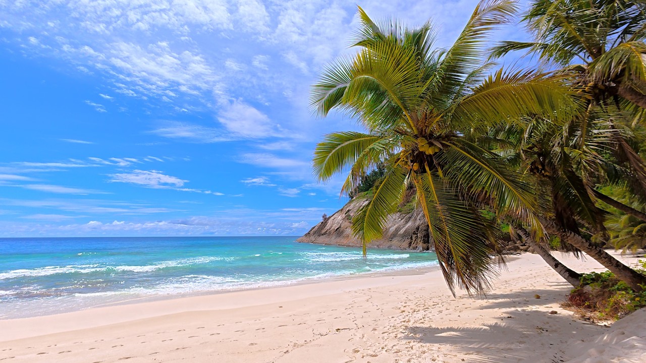 🏝  Island Paradise in Seychelles. Tropical Beach in Summer.