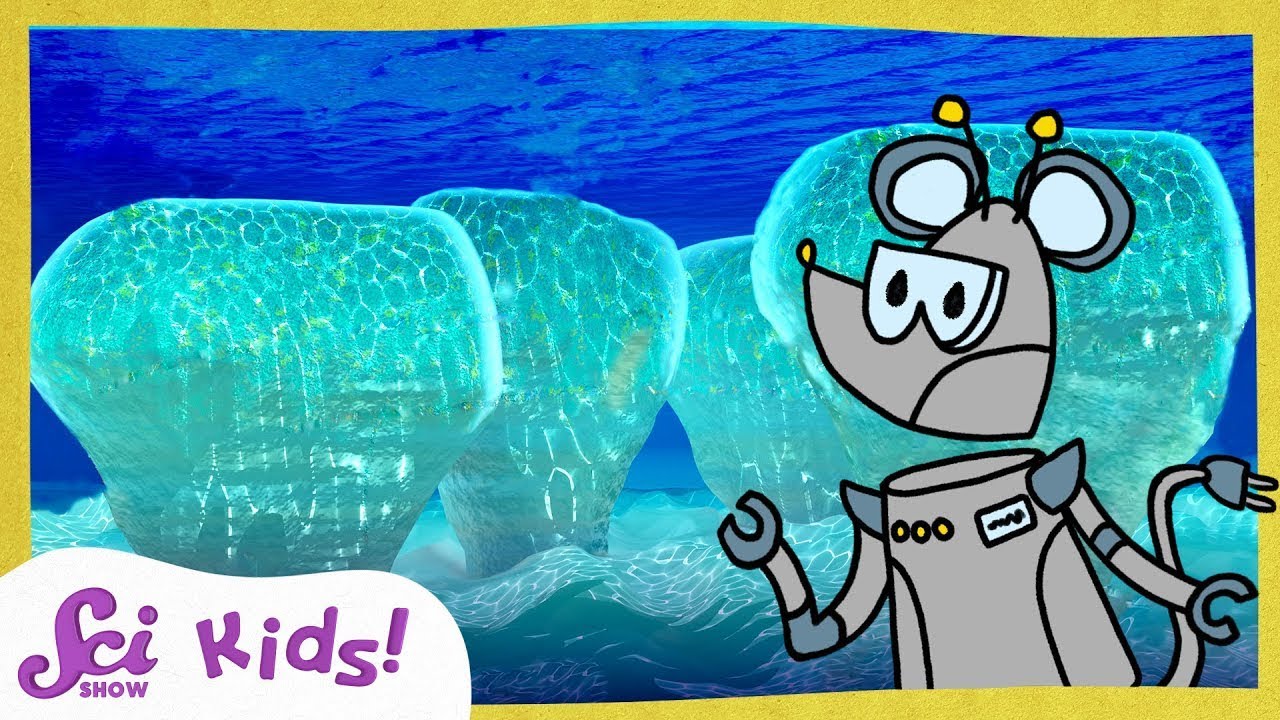 The Very First Living Thing! | The History of Life! | SciShow Kids