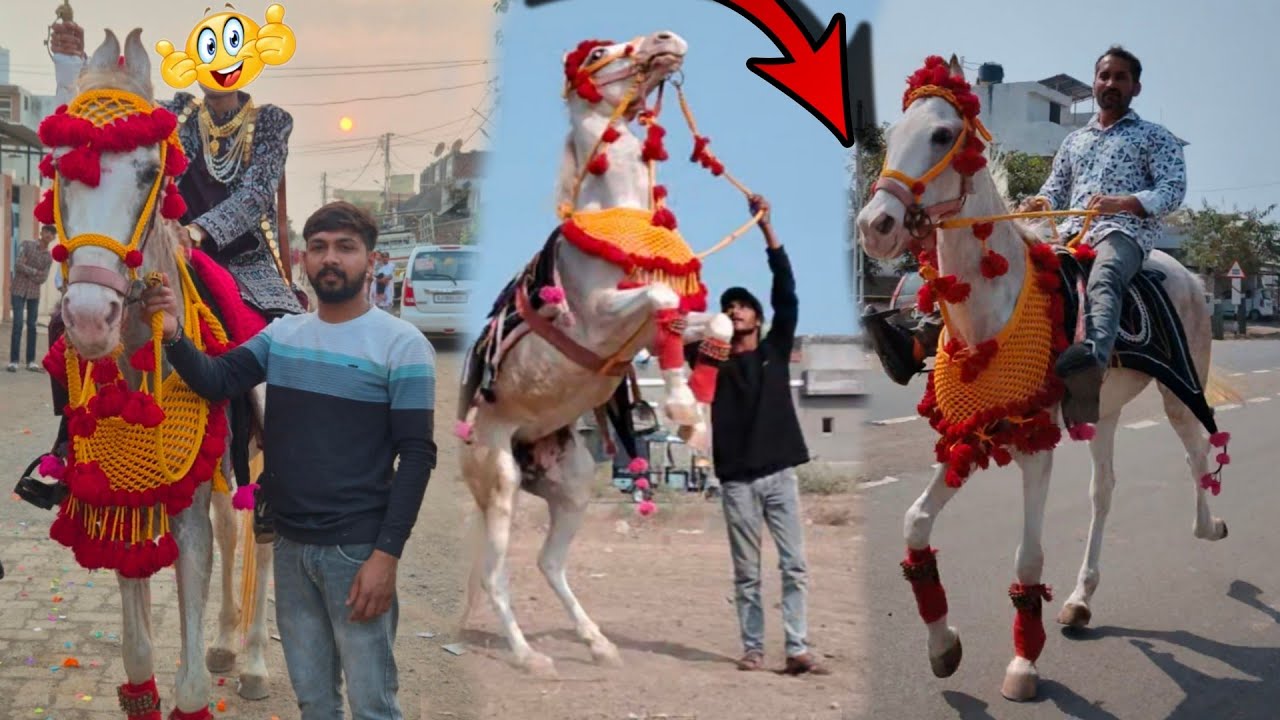 કબૂતરી આને ભૂતળ ને લઇ ગયા વરઘોડા માં 😳