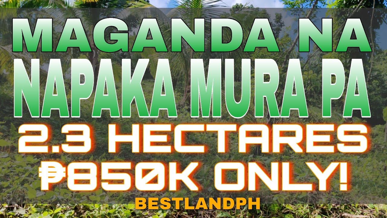 SOLD #057 FARM LOT FOR SALE | SUPER GANDA AT NAPAKA MURANG FARM LOT