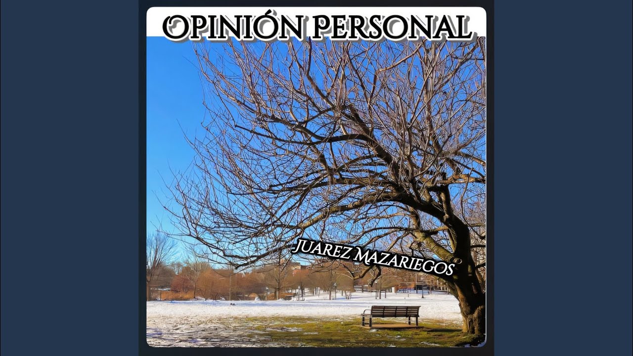 Opini&oacute;n Personal (Demo)