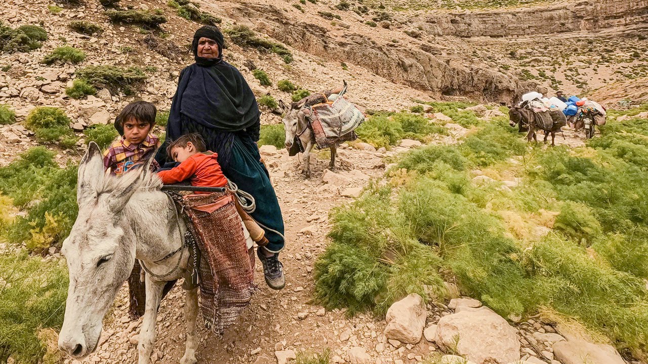 Nomadic migration and crossing very attractive and spectacular routes in Doora
