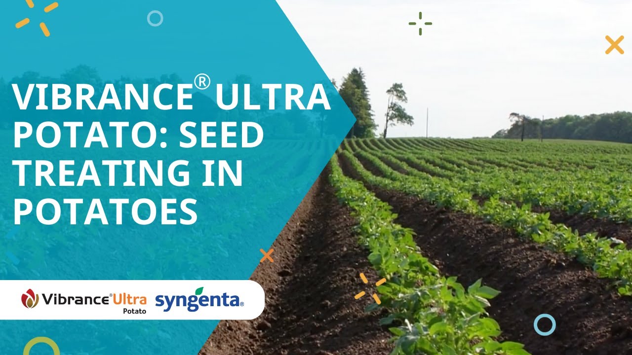 Vibrance® Ultra Potato: Seed treating in potatoes