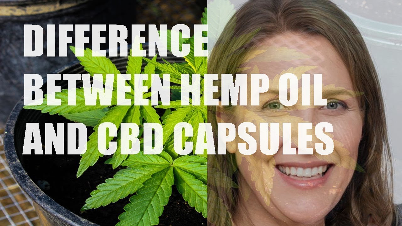Difference Between Hemp Oil and CBD Capsules