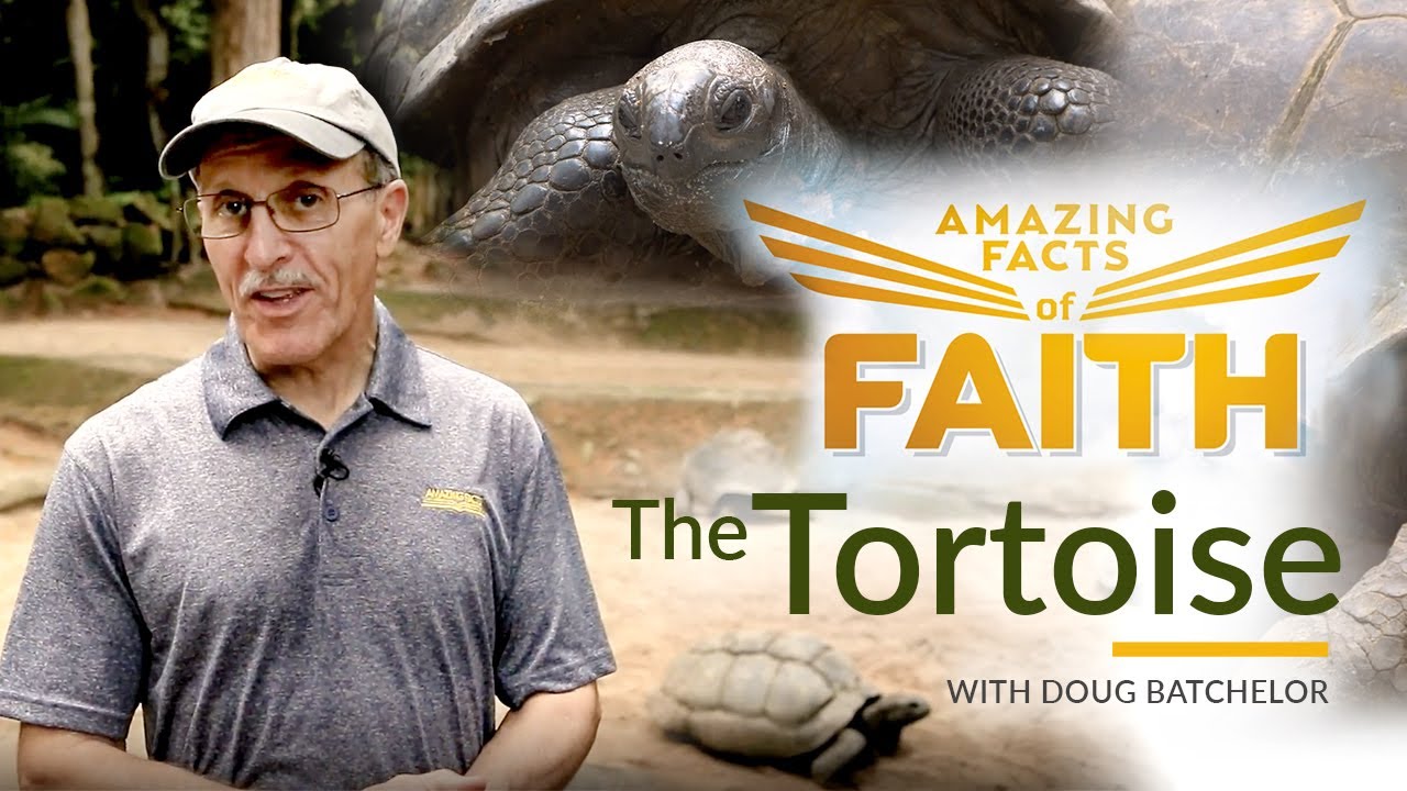 Amazing Facts of Faith: 