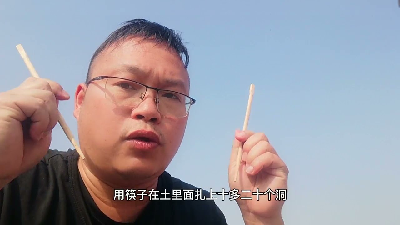 土壤板结又烂根，怎么办？教你一招，土壤疏松如“蛋糕”