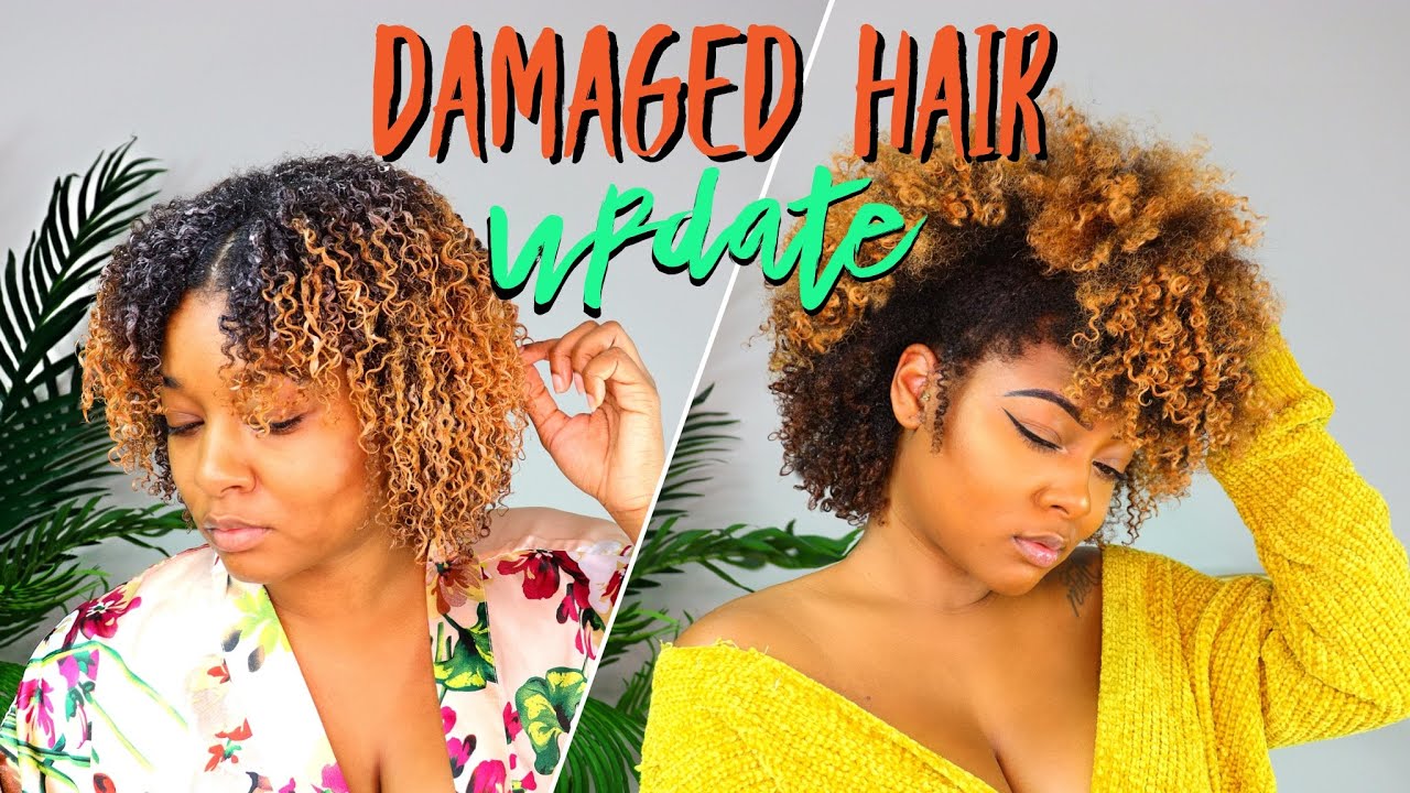 Damaged Curly Hair Routine: Wash & Go on Damaged Hair w/ Different Textures | Natural Hair Tutorial