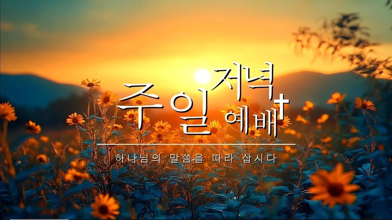 【목포주안교회】 주일저녁예배(대전이레교회 김승목사) LIVE (26.03.15)