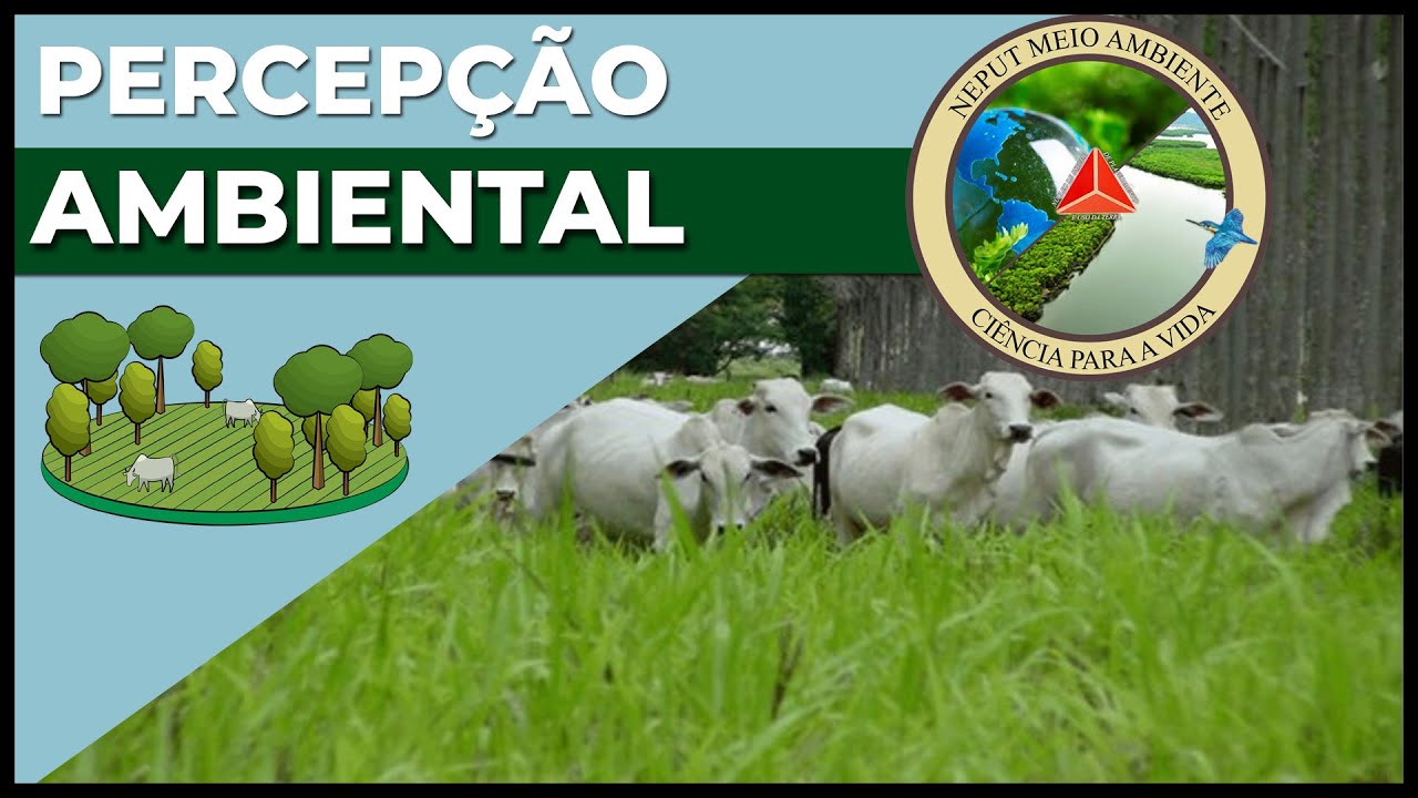 Percepção Ambiental Aplicado ao Planejamento Ambiental