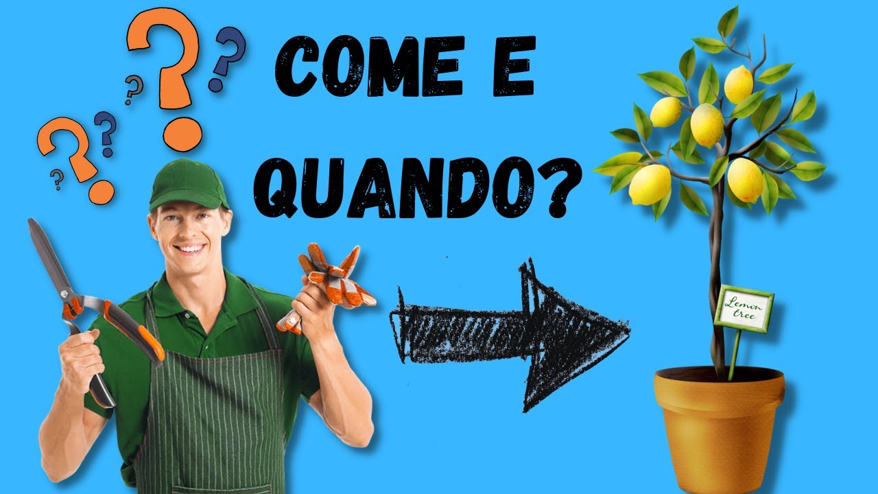 Come e quando potare il limone? Video Tutorial