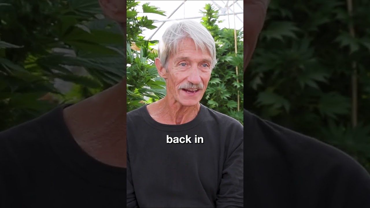 Secretly Growing Marijuana - Cannabis Breeder On Why He Grew