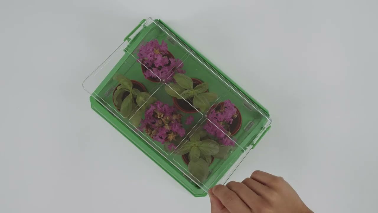 Clementoni - My first greenhouse