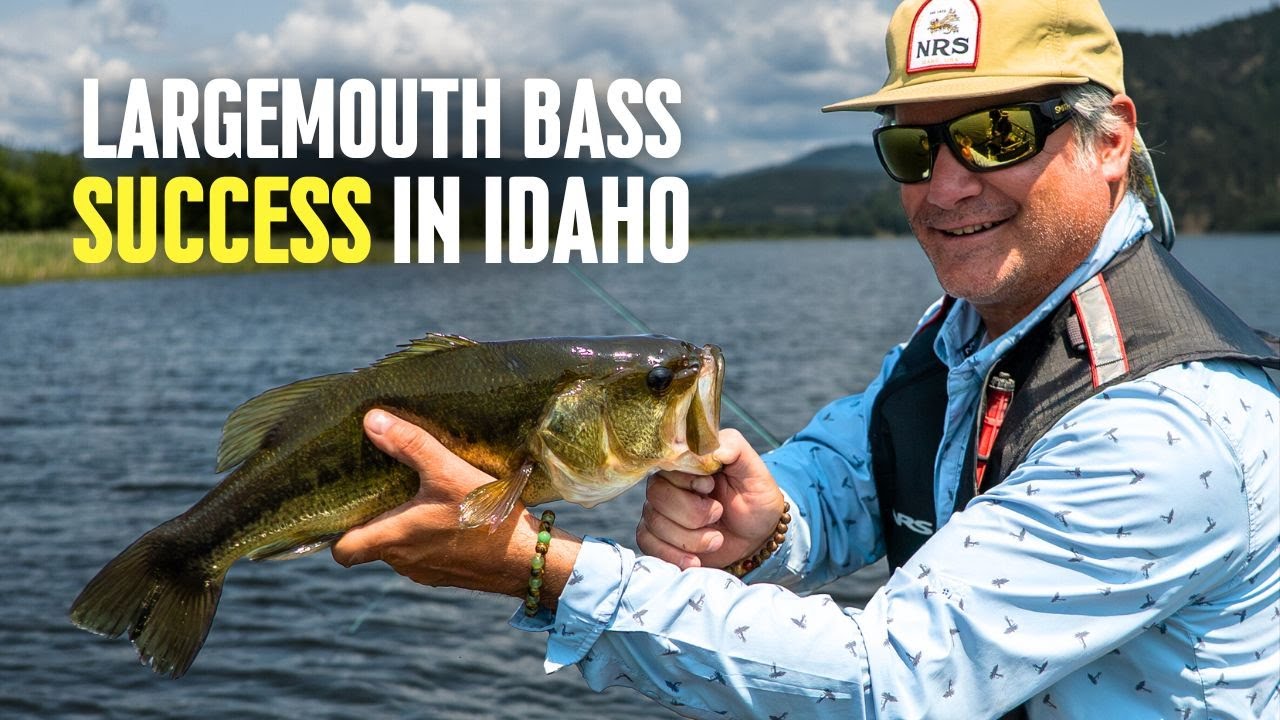 Where to Find Largemouth Bass in Idaho