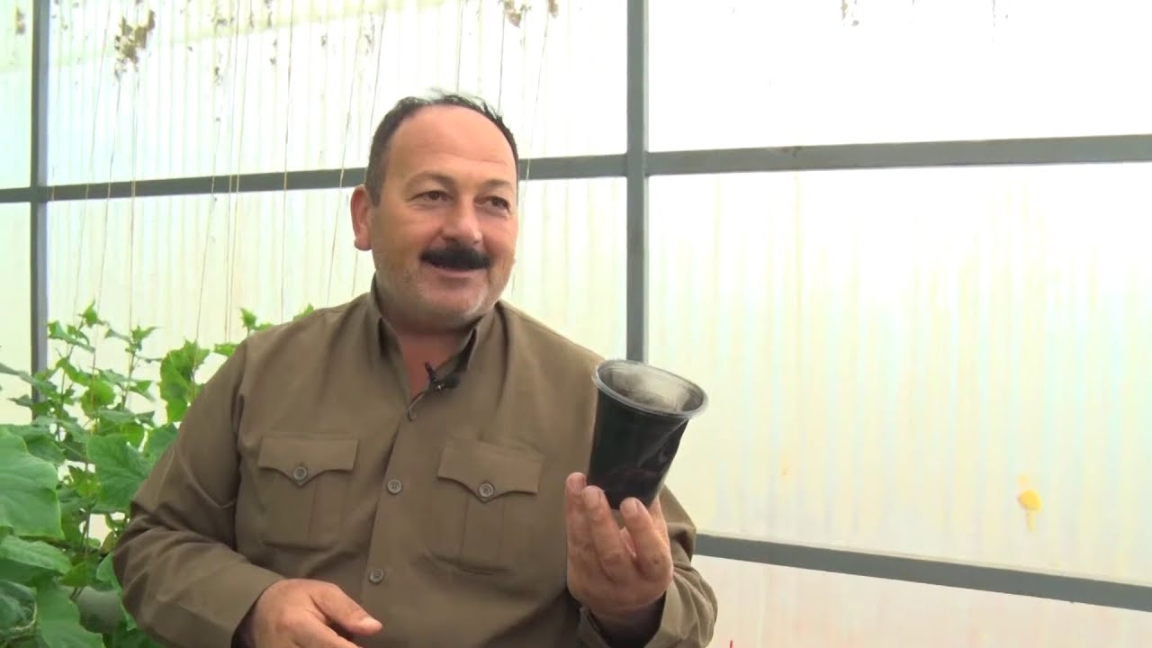 جاندن لە ناو خانوی پلاستیکی بە شێوازی هایدرۆپۆنیک