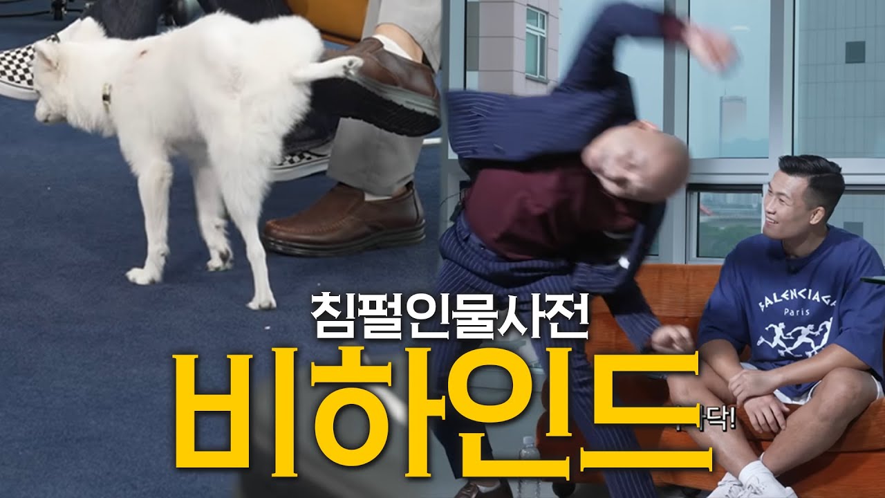 침펄인물사전 비하인드