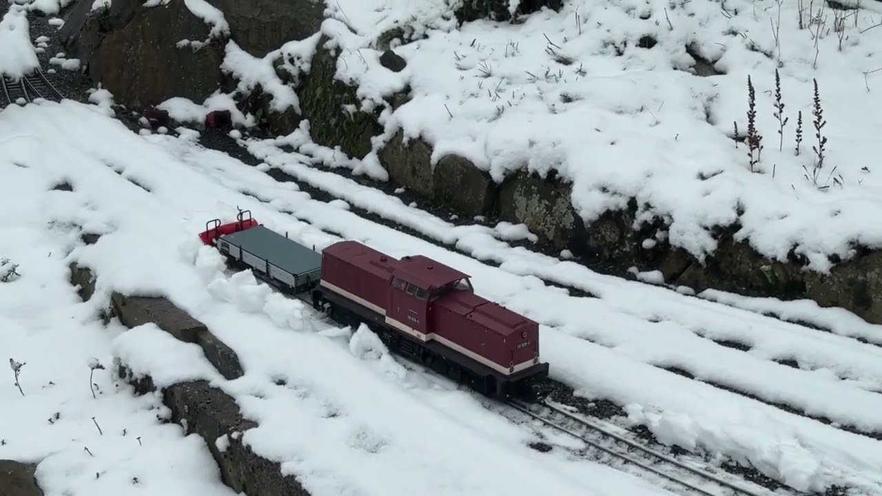 Schneepflug 29 01 2026