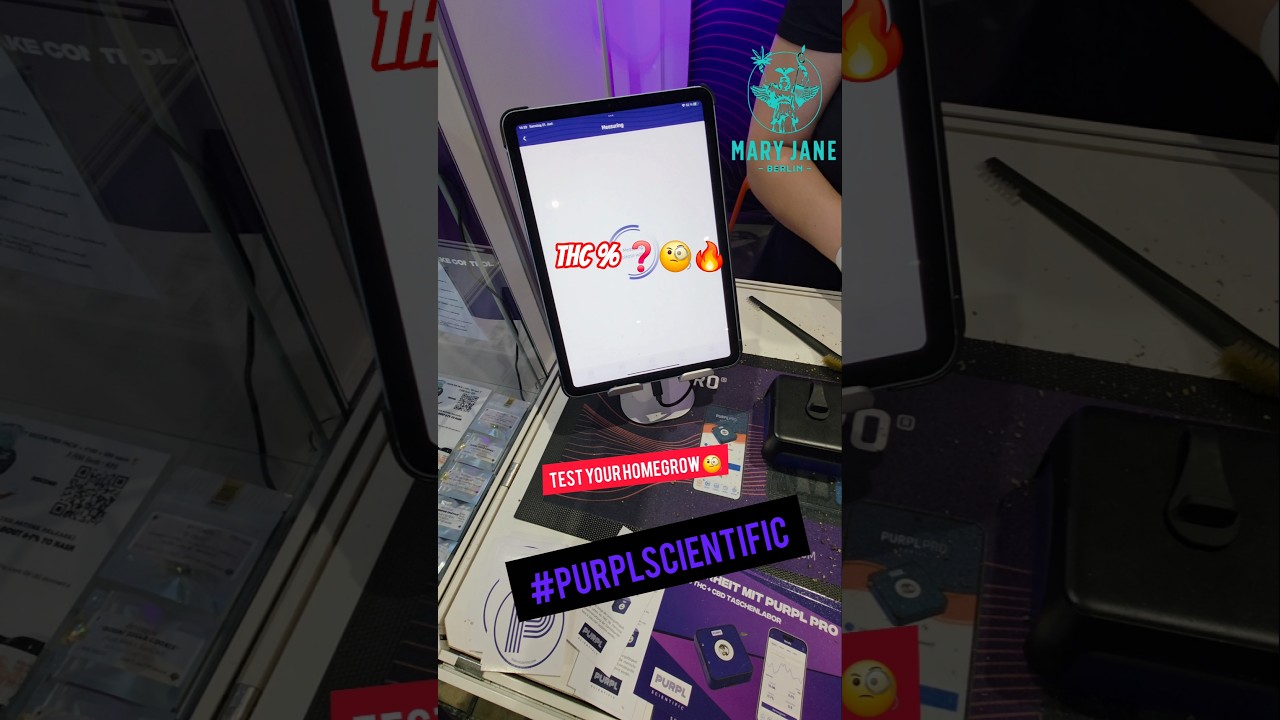 THC TEST F&Uuml;R 🥦 🧐WIE HOCH❓️@MARYJANE BERLIN  #PURPLSCIENTIFIC