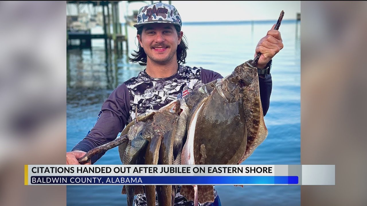 First jubilee of the year spotted in Point Clear; multiple citations handed to participants
