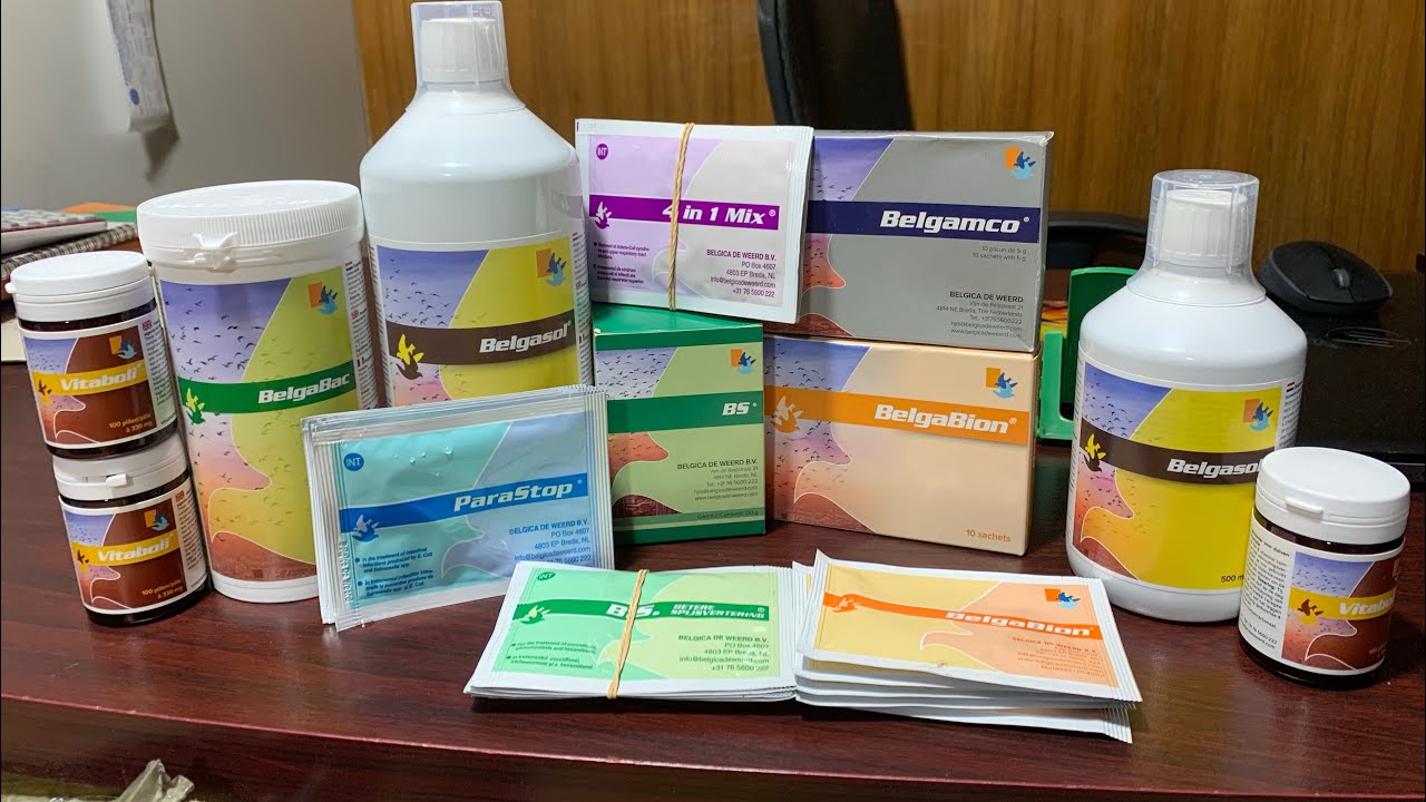 রেস এর জন্য যে মেডিসিন গুলো লাগে। Medicines Important For Pigeon Race 🕊️🕊️