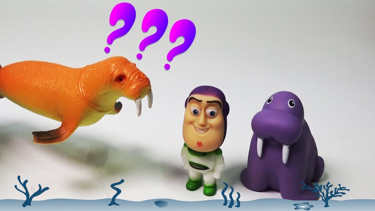 나와 같은 동물친구는 누구일까요? 이름이 같은 동물친구들을 찾아보아요 Who are my animal friend?