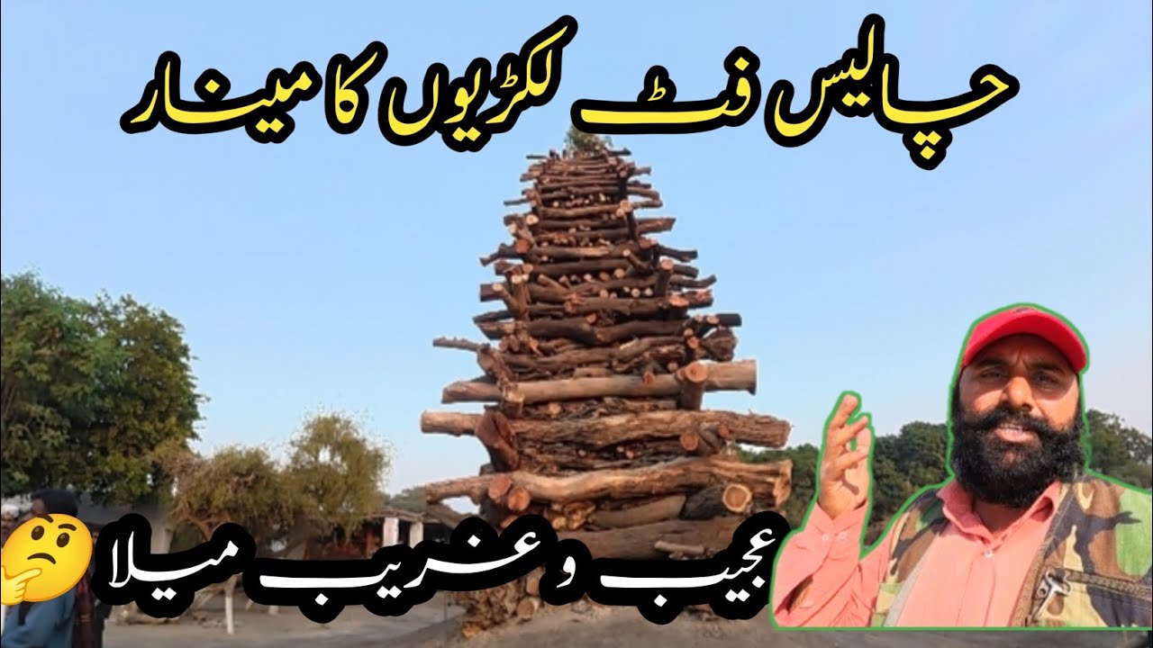 Going to Mela Dargah Bahram bari unique festival set fire of big wooden tower 