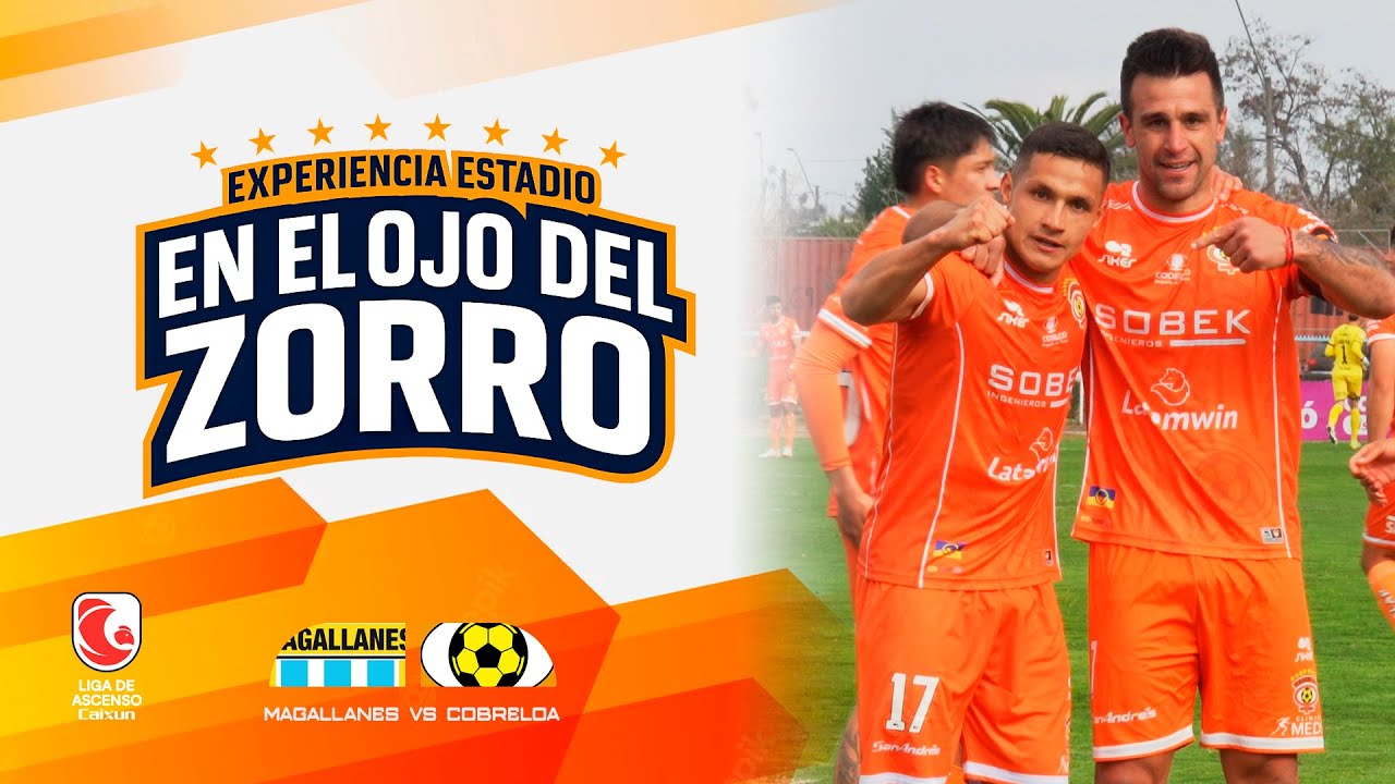 EN EL OJO DEL ZORRO - Experiencia Estadio - MAGALLANES VS COBRELOA