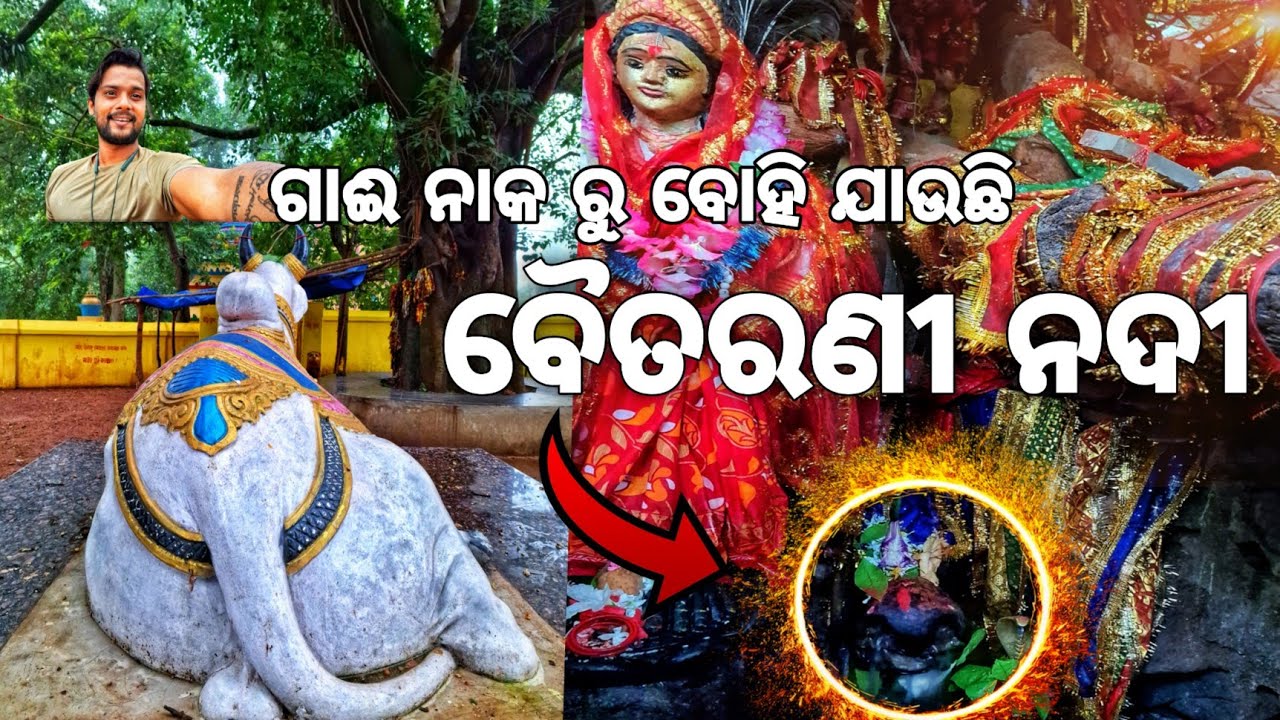 ପବିତ୍ର ବୈତରଣୀ ନଦୀର ଉତ୍ପତ୍ତି ସ୍ଥଳ - GONASIKA || KENDUJHAR