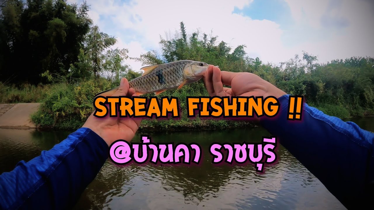 [บันทึกตกปลา] Stream Fishing Burmese Trout/Hampala ตามล่า สะนาก/กระสูบ บ้านคา ราชบุรี