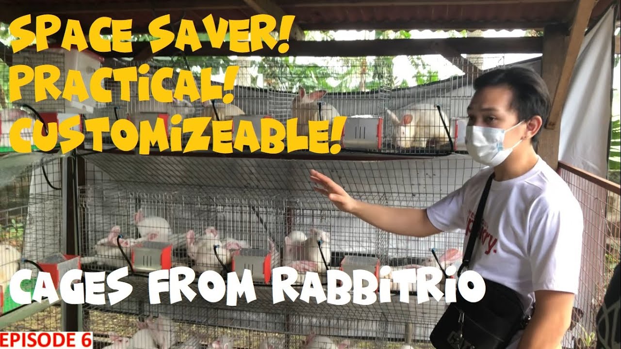 RABBITRY FARMING - RABBITRIO CAGES (TAGALOG)