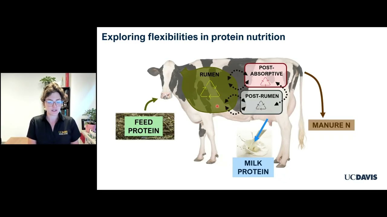 Exploring Flexibilities in Protein Nutrition for Sustainable Dairy with Dr. Kelly Nichols, UC Davis