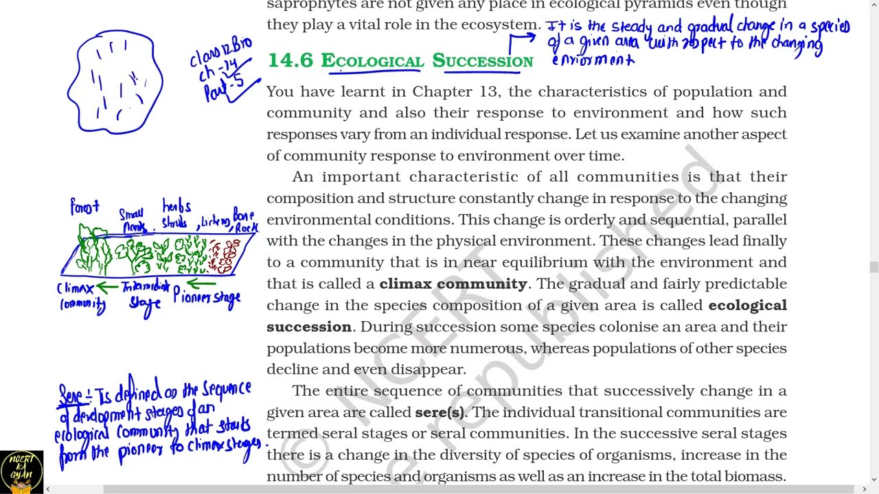 Ecological succession Class 12th NCERT chapter 14 | NCERT line by line explanation.