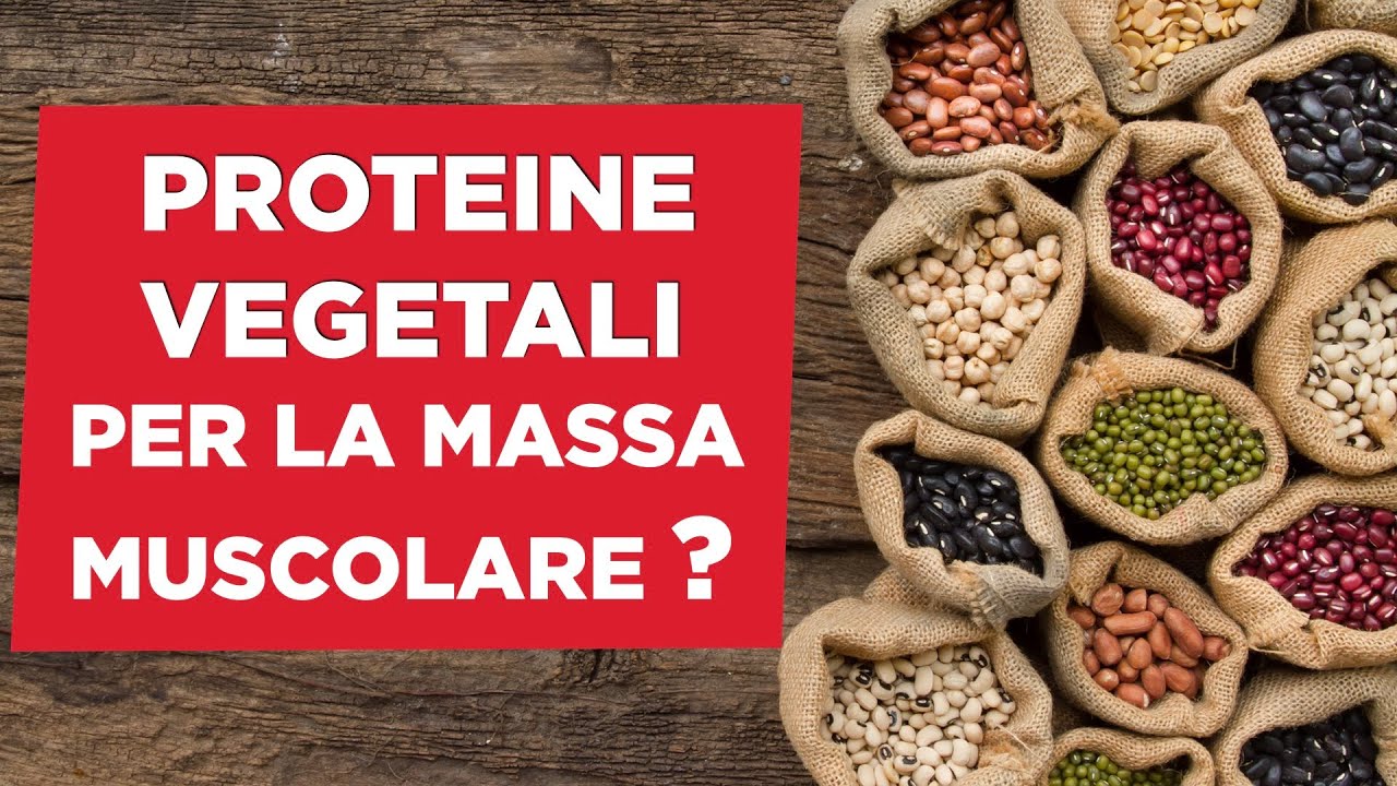 Proteine vegetali per la massa muscolare