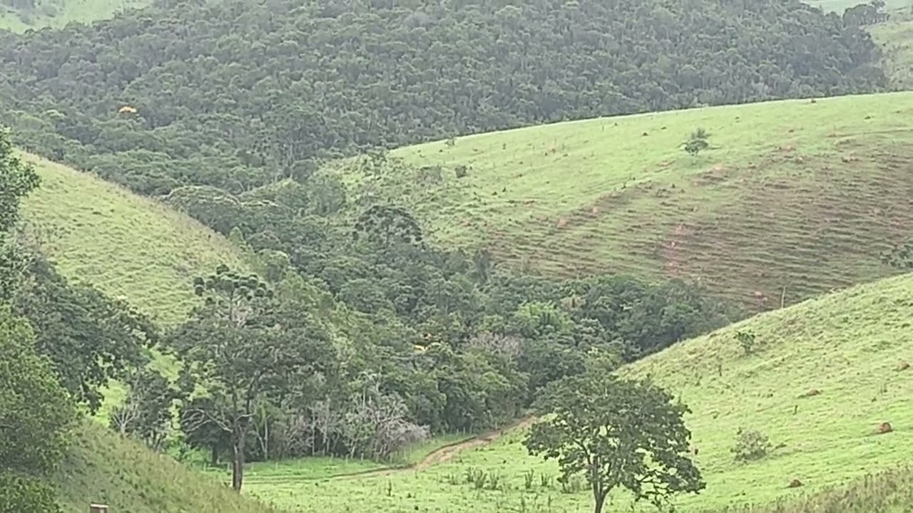 MAIS UMA MANHÃ #sitio#animals#nature