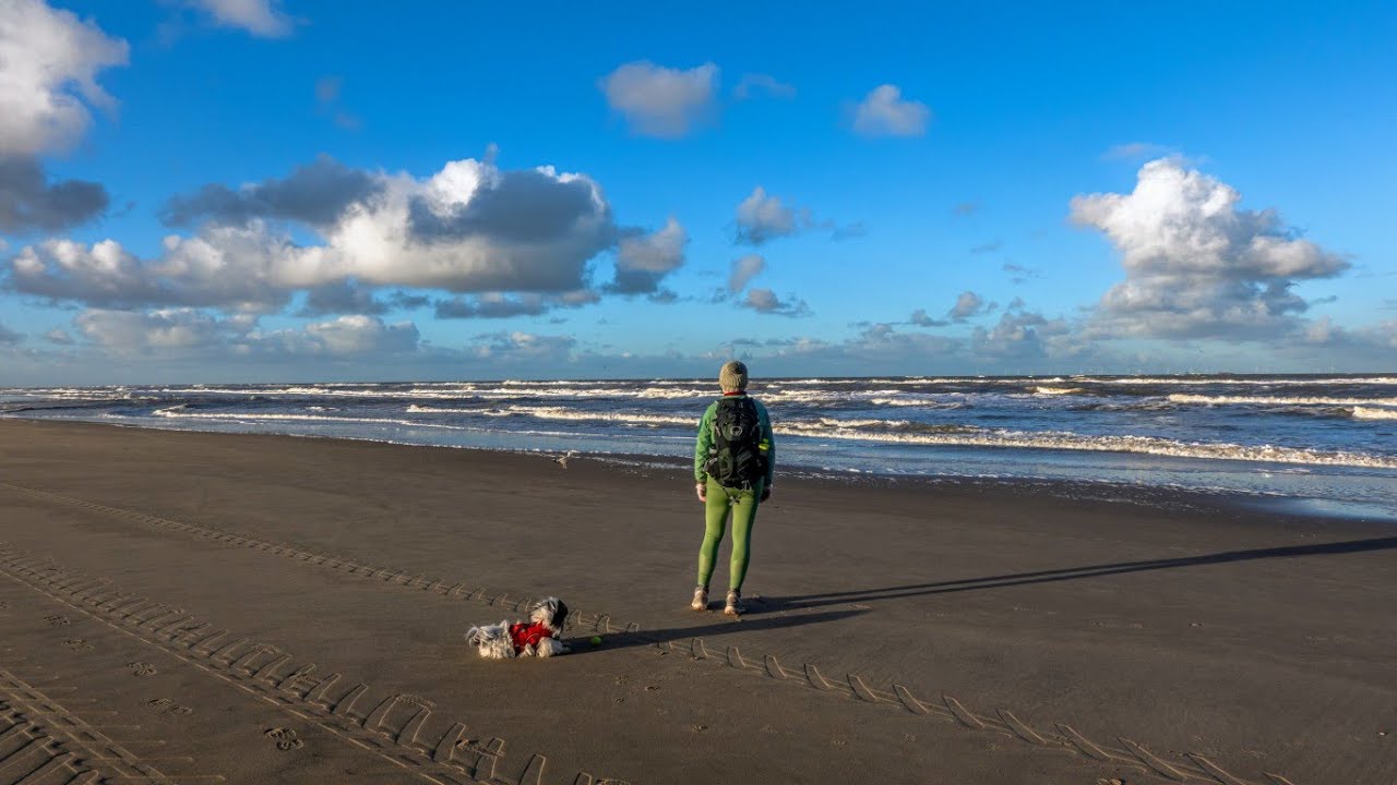 Hiking and playing in Wassenaar | Zuid Holland | Netherlands