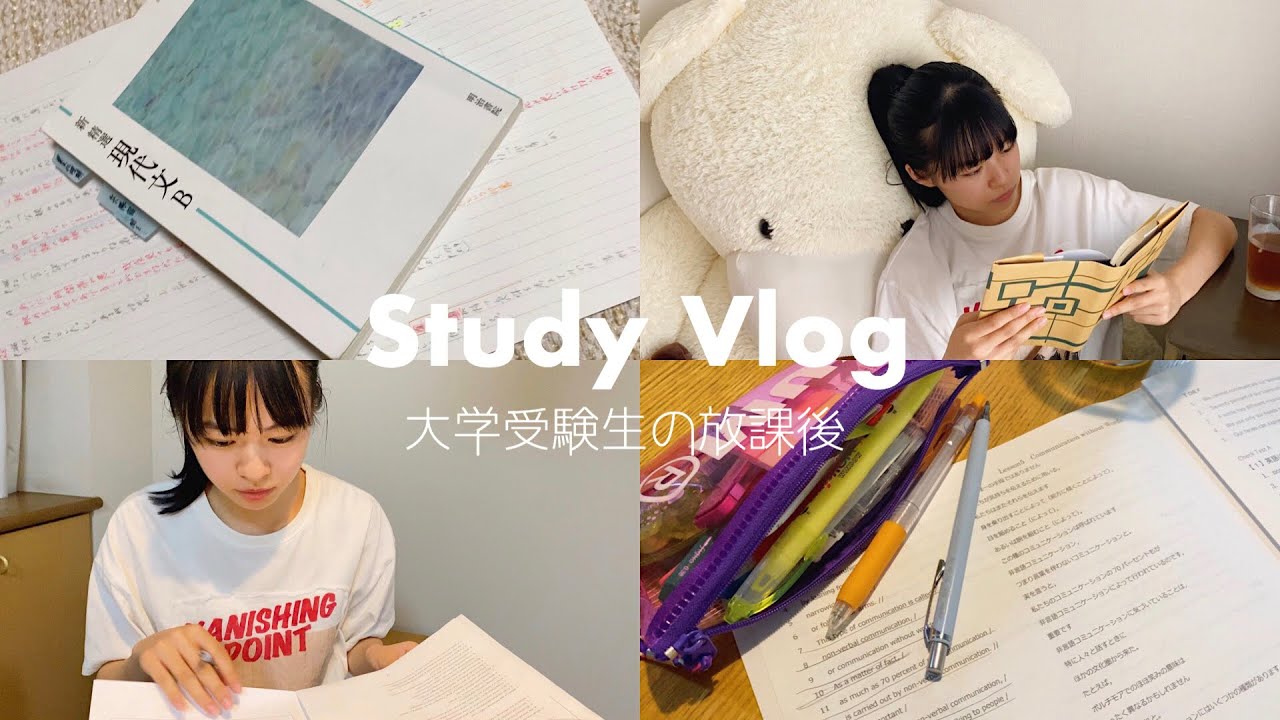 【StudyVlog】とある勉強する1日✏️タイムラプス
