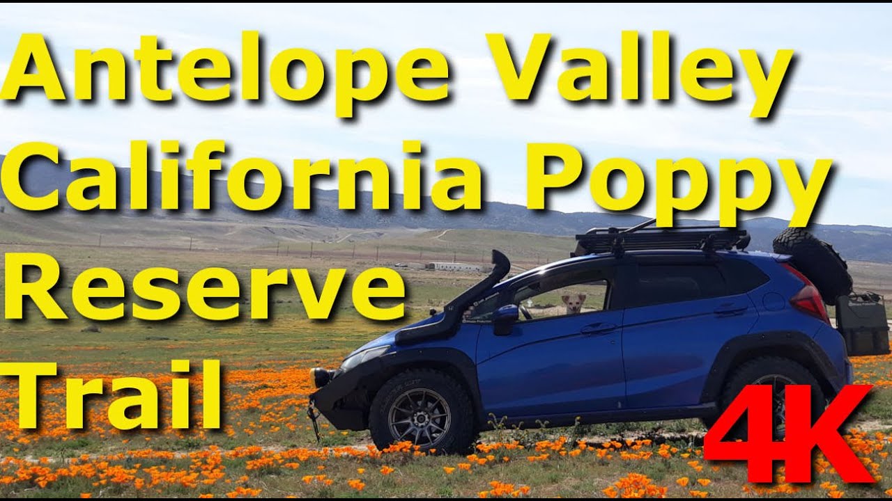 Antelope Valley California Poppy Reserve Trail and Adventure