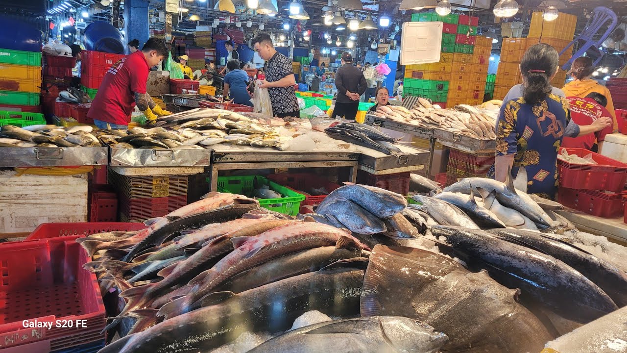 Join me to buy seafood at the biggest fish market in Saigon and Vietnam