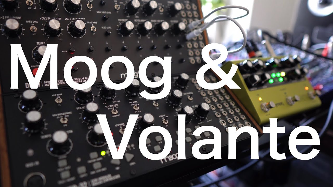 Moog Mother 32 & DFAM with Strymon Volante | Electronic cloud