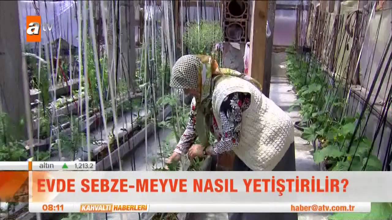 Evde sebze -  meyve nasıl yetiştirilir? - Kahvaltı Haberleri