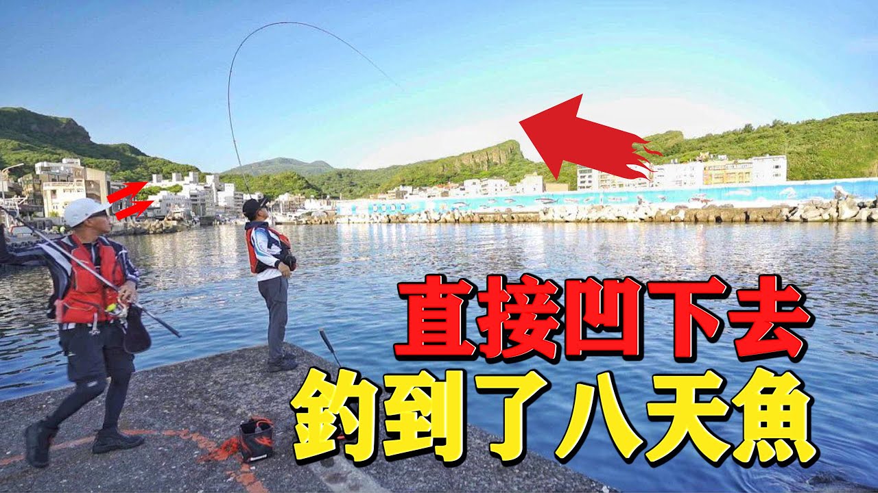 【港口磯釣】終於釣到了八天魚！！釣起來的瞬間感動到只差沒流淚！