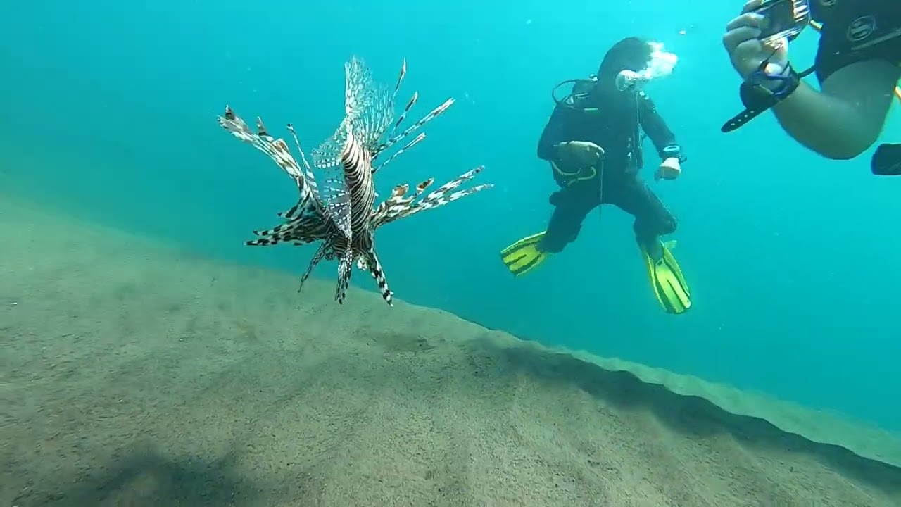 Bali 2023 Díl 3 - all dives