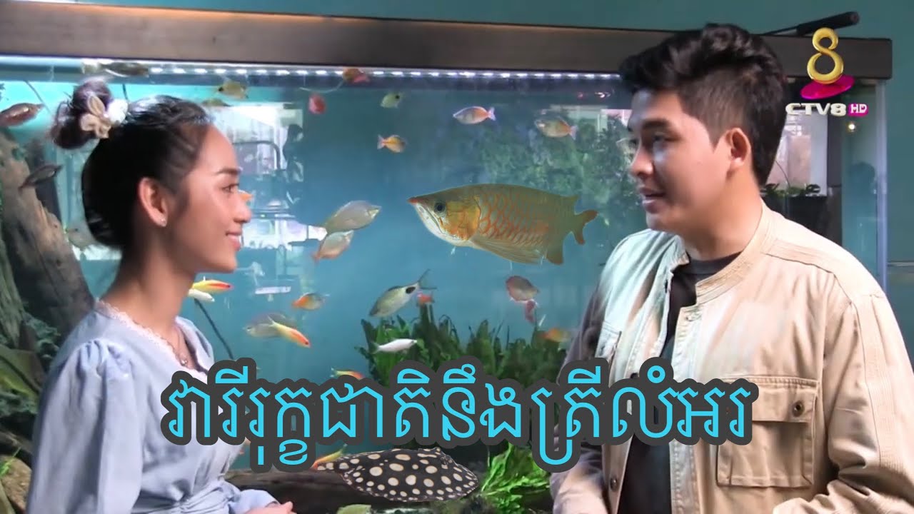 វារីរុក្ខជាតិនឹងត្រីលំអរ / Aquatic plants and ornamental fish