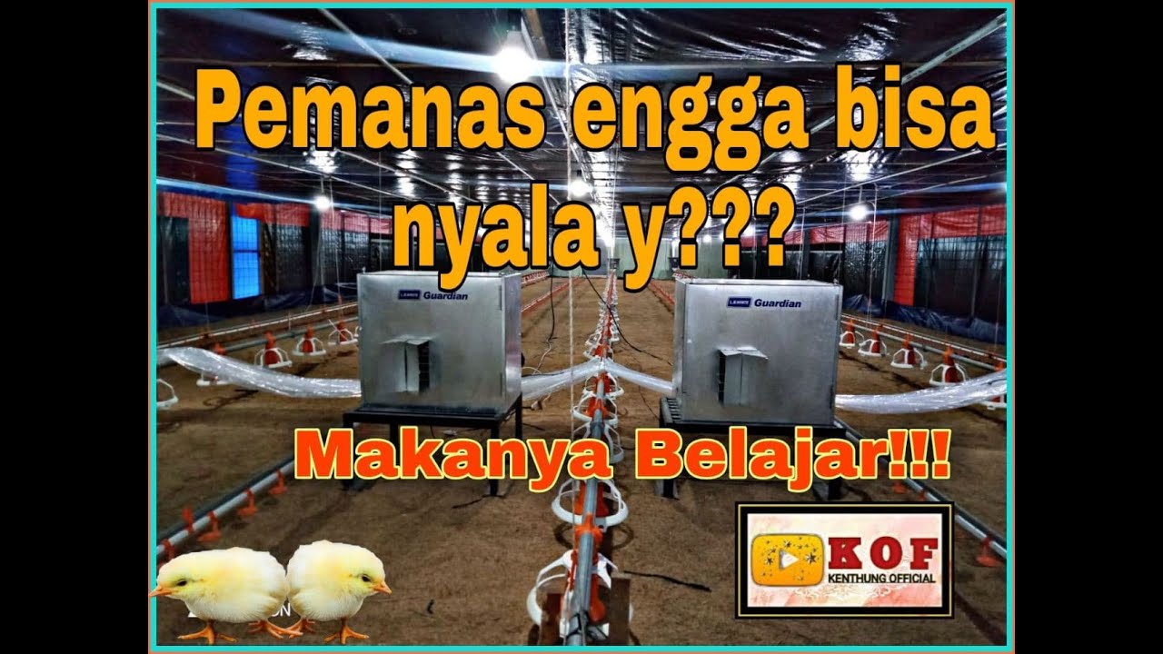 Bisa Engga Setting Heater Otomatis dan Manual ??? (L.B White Guardian)