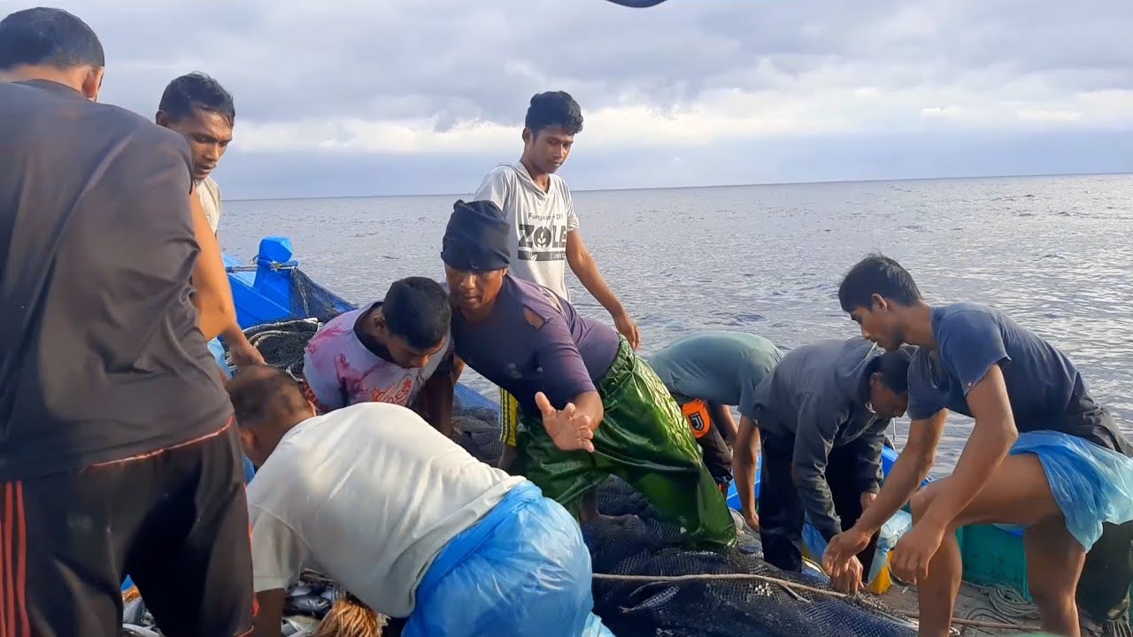 labuh kawanan ikan dencis/kapal ikan Nelayan boat KM. ASAI MULA