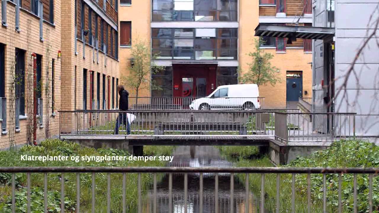 Bl&aring;-gr&oslash;nt i Bj&oslash;lsen studentby