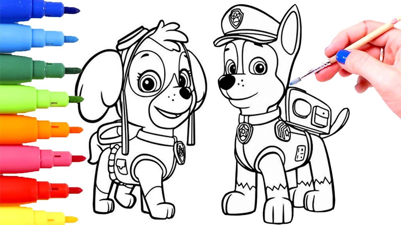 COLOREAR 🐾 Aprende los colores y pinta el dibujo de Paw Patrol