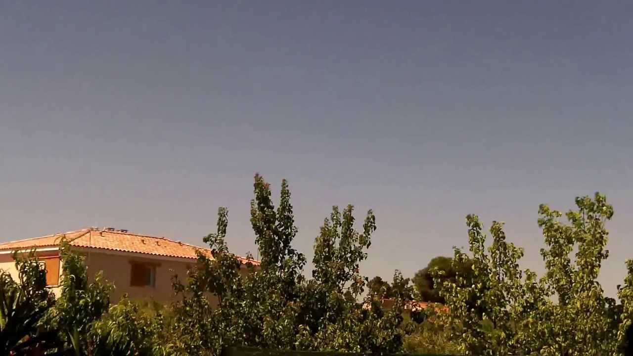 Cigales