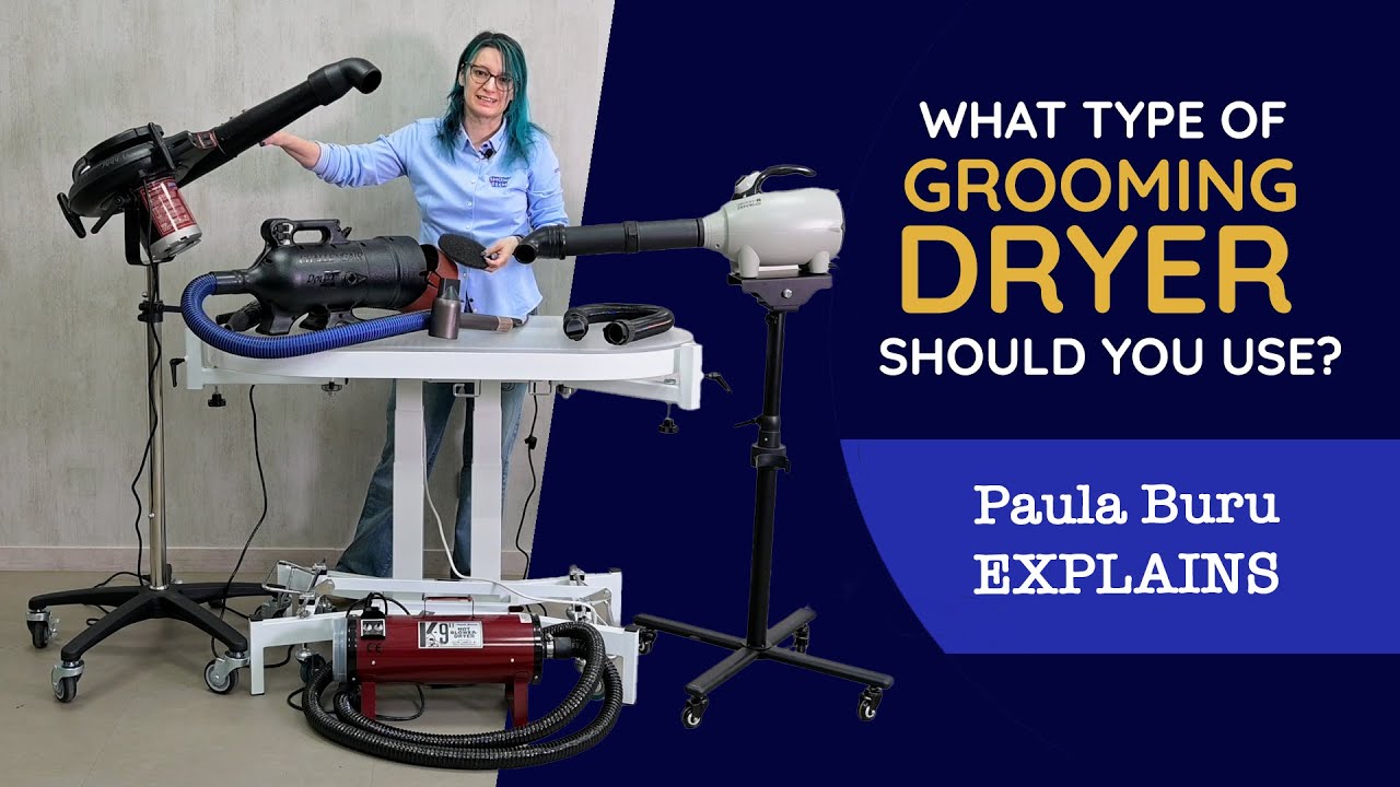 Understanding Dog Dryers: Paula Buru Explains the Best Options for Home and Professional Grooming