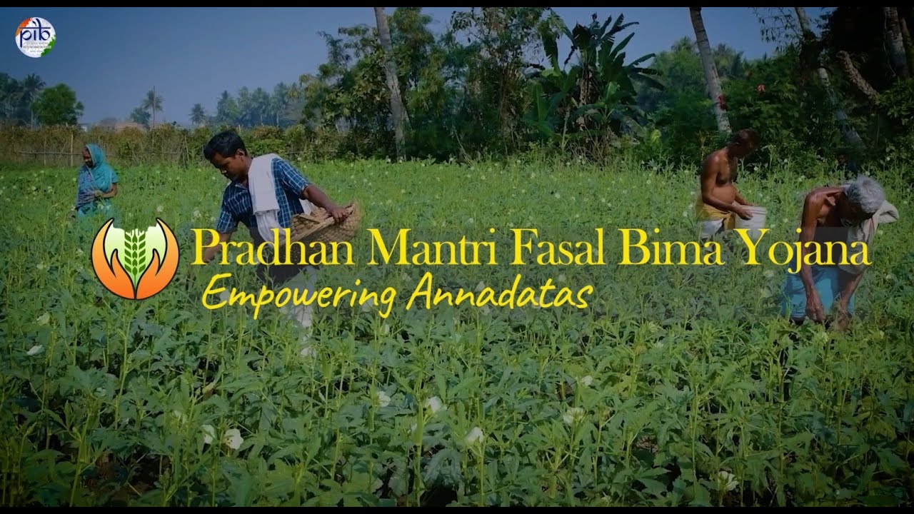 Pradhan Mantri Fasal Bima Yojana: Empowering Annadatas